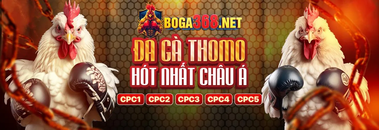 Sân vận động bóng đá với không khí sôi động, biểu tượng của cá cược thể thao tại c7clubs liên kết mới